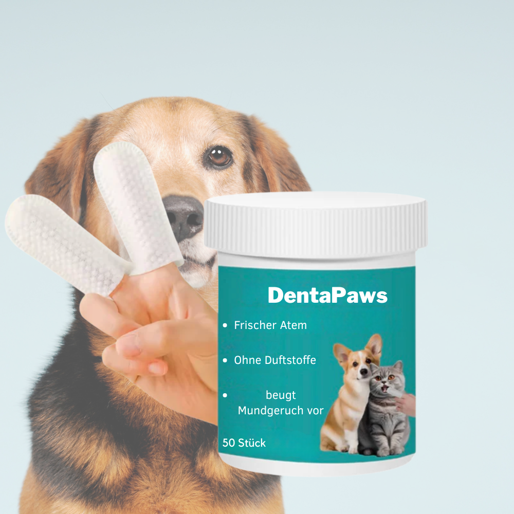 DentaPaws
